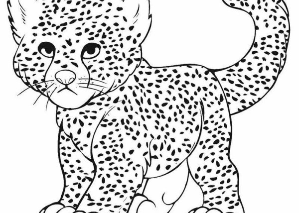 Раскраска леопард