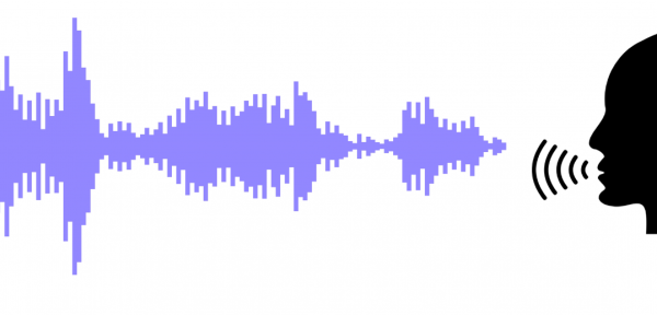 Голосовая биометрия