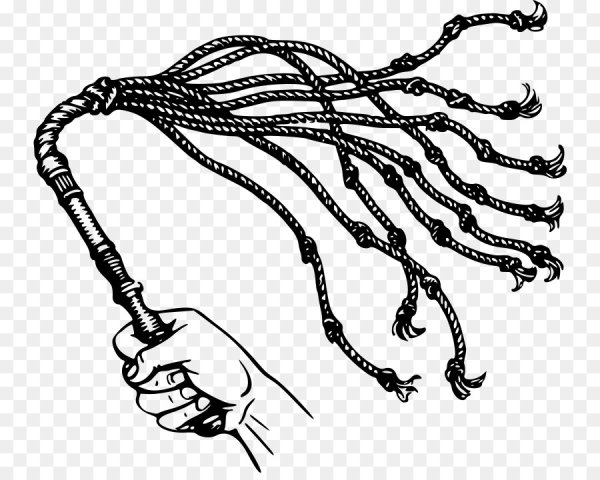 Плетка кошка девятихвостка