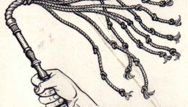 Девятихвостка строение