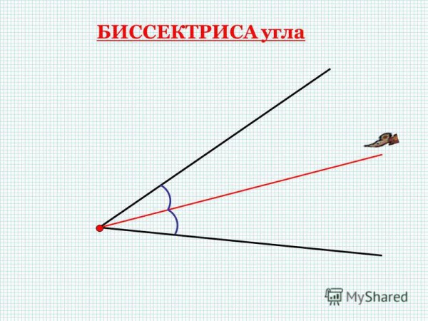 Биссектриса угла