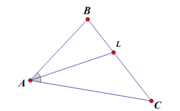 St биссектриса pt 26 см