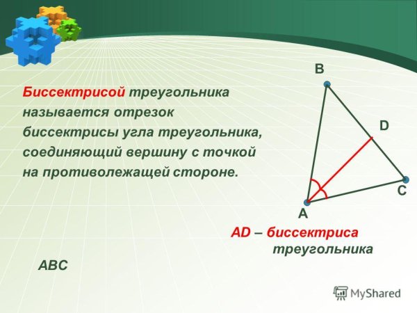 Биссектриса треугольника