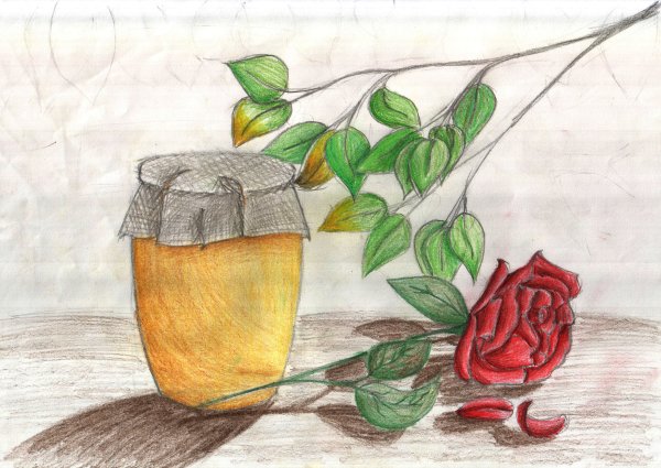 Август рисунок