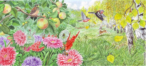 Июль иллюстрация