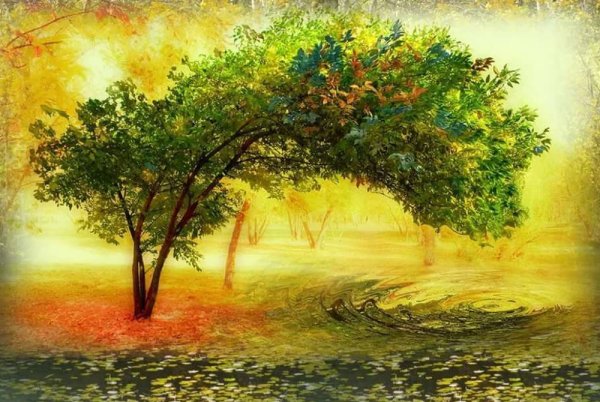 Встреча лета и осени