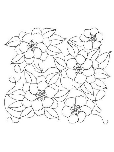 Цветы на стену раскраска