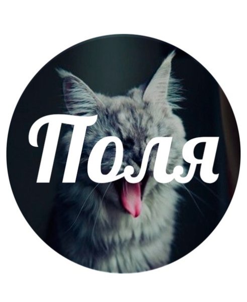 Полина аватарка