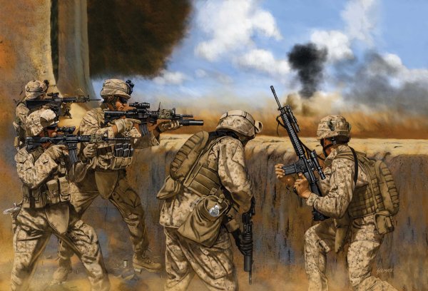 Стюарт Браун Афганская война