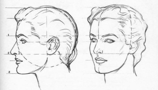 Поворот головы в портрете