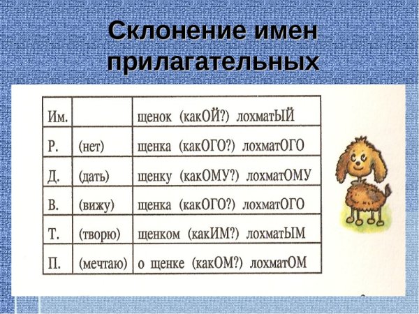 Склонение имен прилагательных
