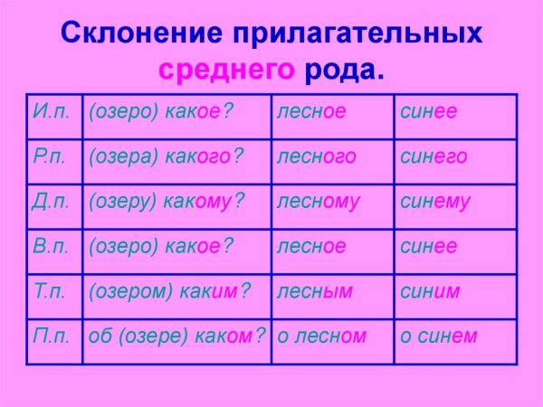Склонение имен прилагательных среднего рода