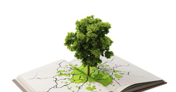 Деререфо для презентации