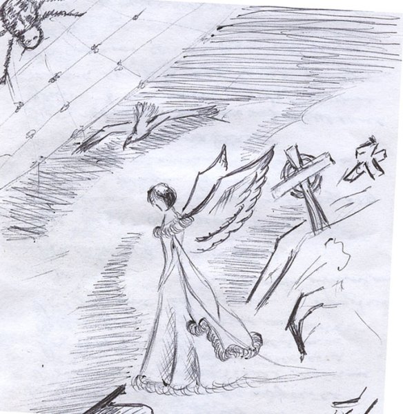 Бородинская битва иллюстрации