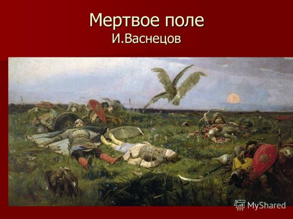 Поле после битвы