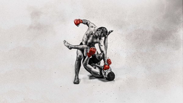 Векторные бойцы