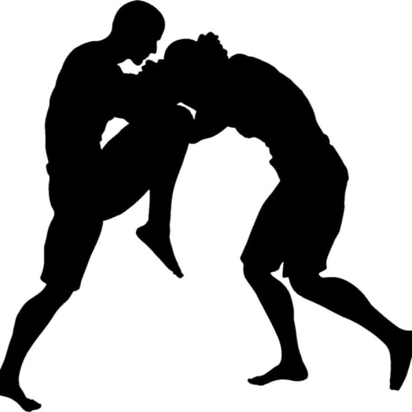 Раскраска бойцов юфс