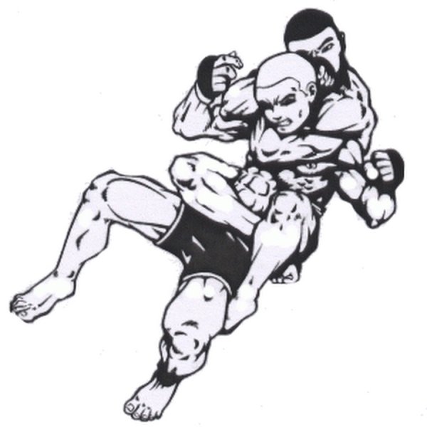 Бокс Муай Тай арт