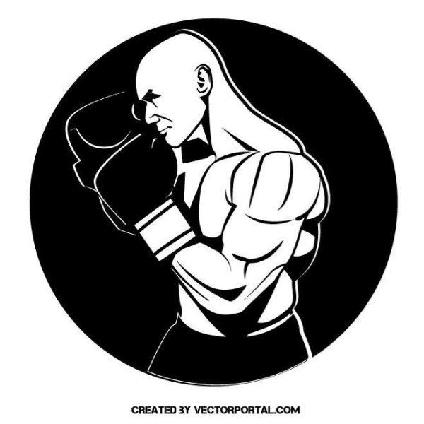 Векторные бойцы