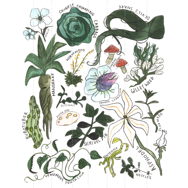 Нечуй-ветер трава