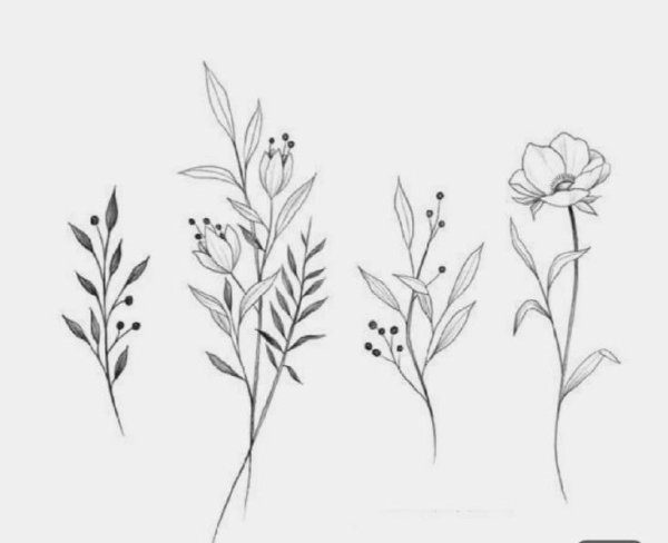 Скетч баночки