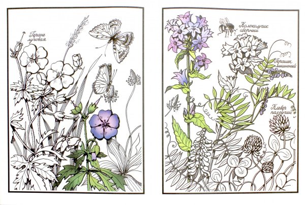 Идеи для рисунков для травницы