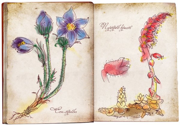 Плакун мифология