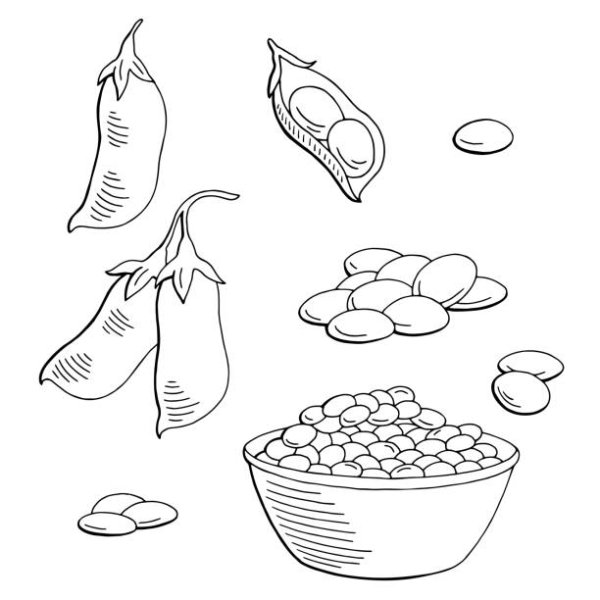 Раскраска чечевица для детей