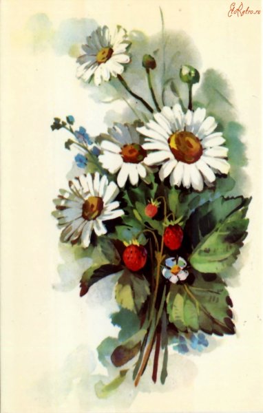 Ромашки старинная открытка