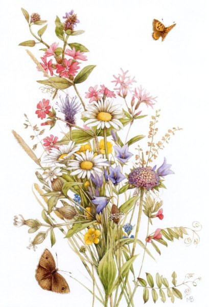 Марджолин Бастин акварели