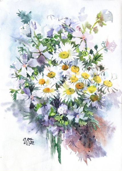 Букет ромашек акварель