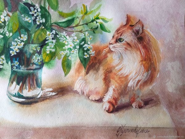 Картины художника Светланы Дмитриевой