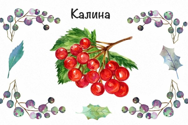 Калина карточки для детей