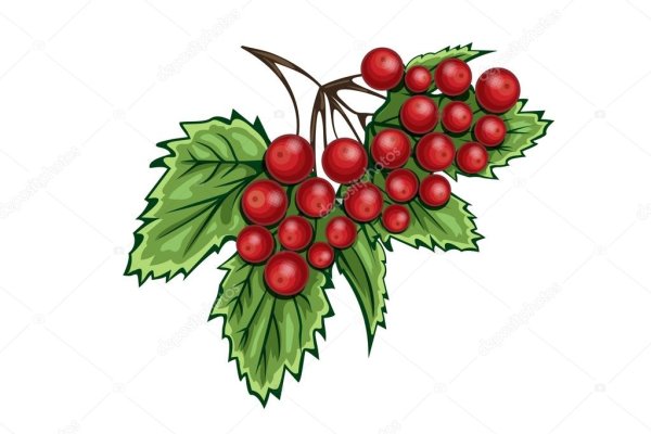 Калина рисунок