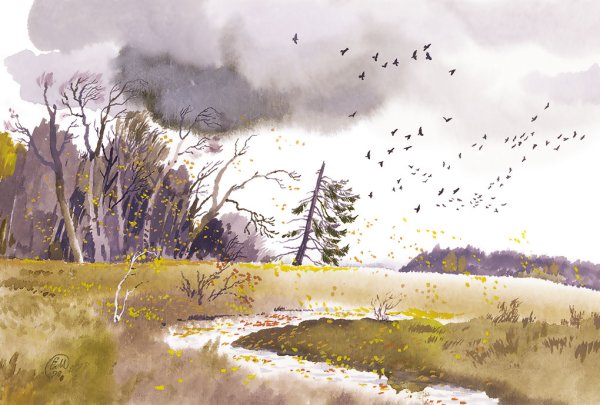 Некрасов перед дождем иллюстрация