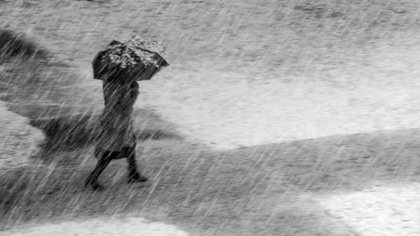 Сквозь непогоду