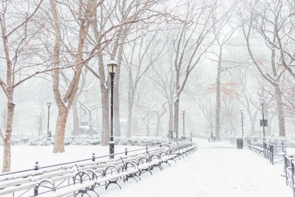 Зимний паркрарисованный