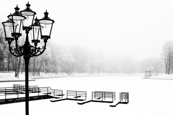 Черно-белая Графика зима