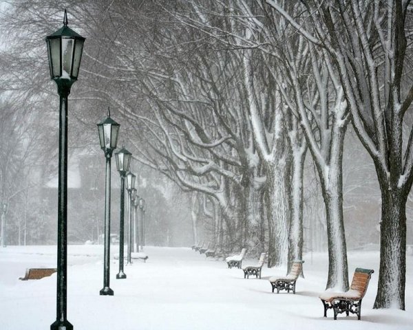 Зимняя аллея с фонарями