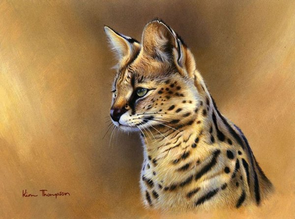 Сервал референс