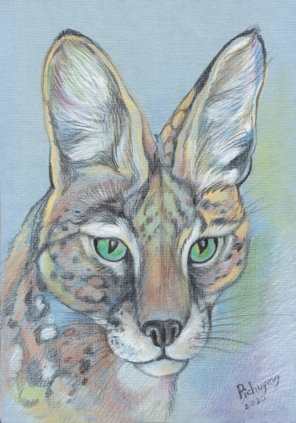 Сервал портрет