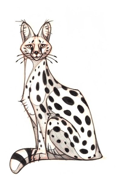 Фурсона сервал