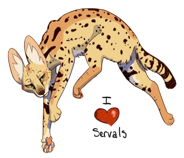 Сервал рисунок арт