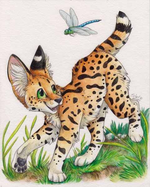 Сервал антропоморфный