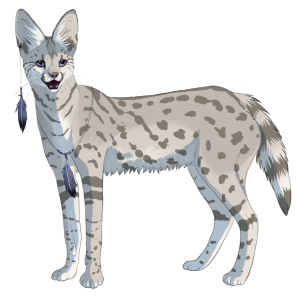 Сервал фурри