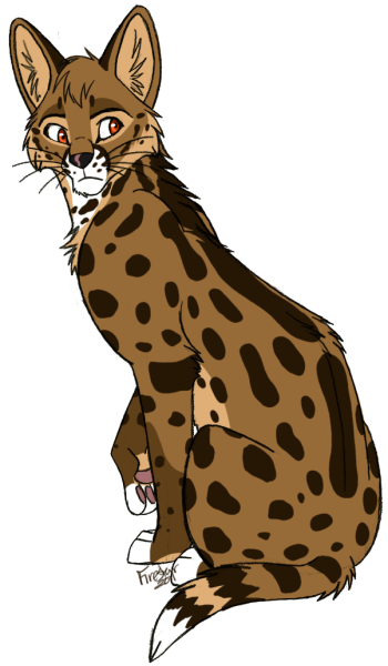 Сервал и гепард