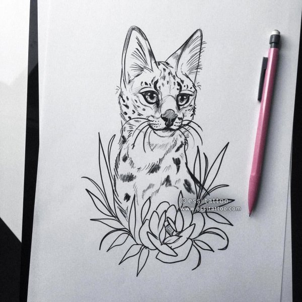 Рисунки для скетчбука животные