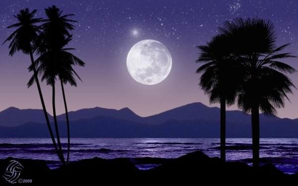 Ева Вольф художник