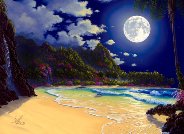 Ночной пейзаж вектор