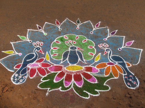 Ранголи Павлин из песка